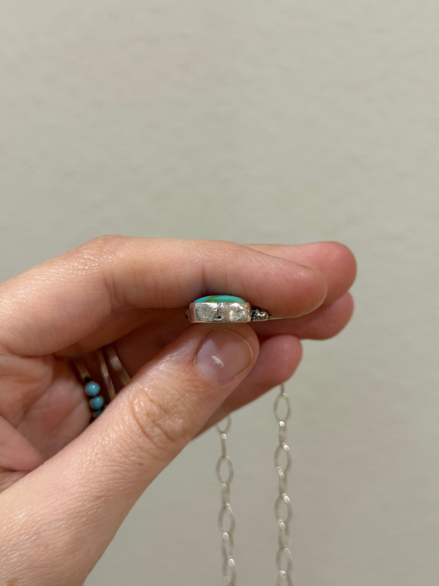 Sonoran buffalo nickel necklace