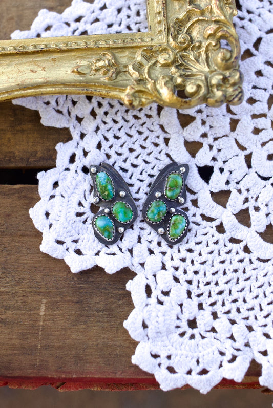 Sonoran butterfly clusters